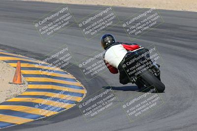 media/Feb-04-2023-SoCal Trackdays (Sat) [[8a776bf2c3]]/Turn 10 Backside (1010am)/